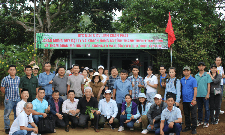 HTX Liên Xuân Phát