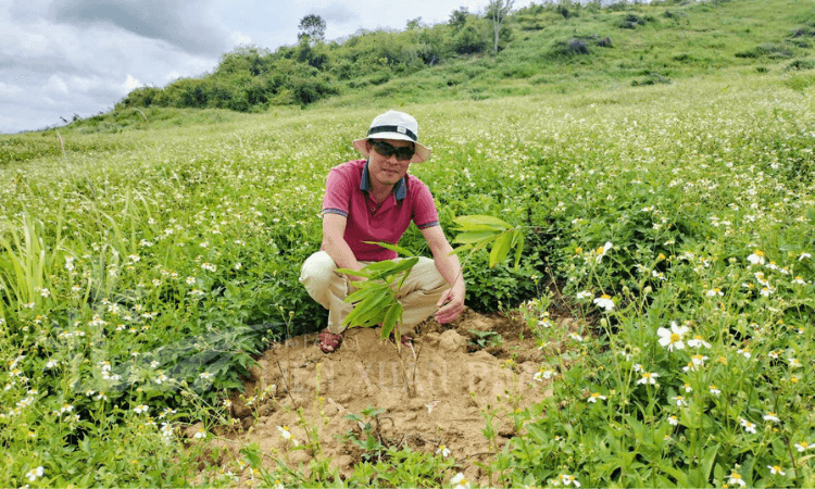 HTX Liên Xuân Phát
