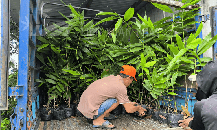 HTX Liên Xuân Phát