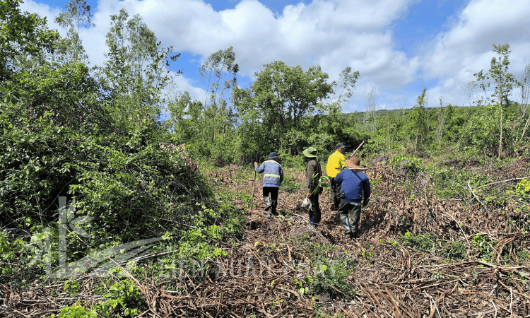 HTX Liên Xuân Phát
