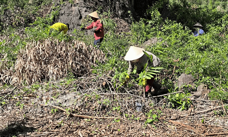 HTX Liên Xuân Phát