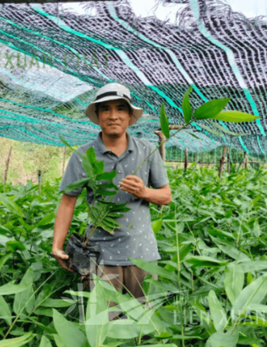 HTX Liên Xuân Phát