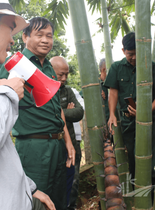 HTX Liên Xuân Phát